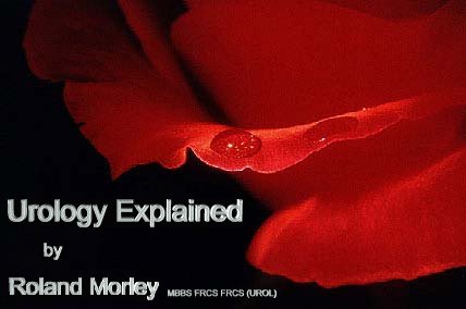 Urology Explained by Roland Morley